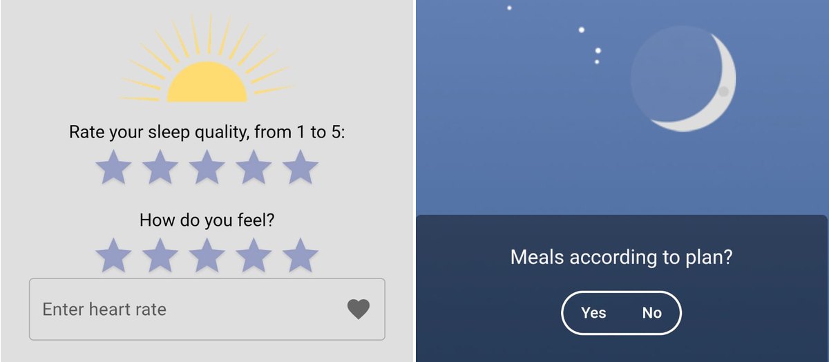Guardian Angel: the morning survey and the evening survey